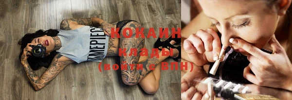 молекула духа Грязовец