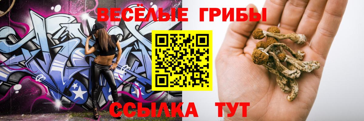 цена   Вход с VPN  Псилоцибиновые грибы GOLDEN TEACHER  Кандалакша  Галлюциногенные грибы MAGIC MUSHROOMS 