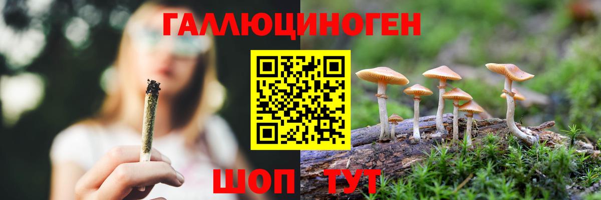 Галлюциногенные грибы GOLDEN TEACHER Кандалакша